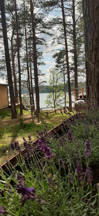 Domek Borsk Nad Samym Jeziorem Экстерьер фото